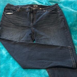 Terra & Sky Women's Petite Plus Straight Jeans